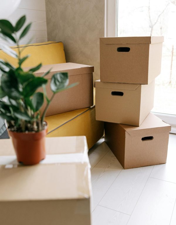 pexels-ivan-samkov-8962868